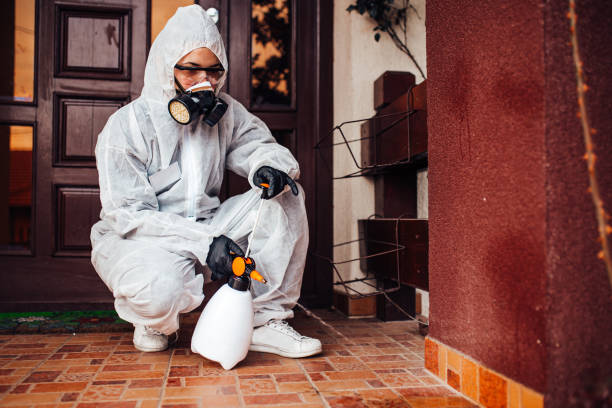Reliable Fumigation Services contractor in Brigantine, NJ by Nex Pest Control