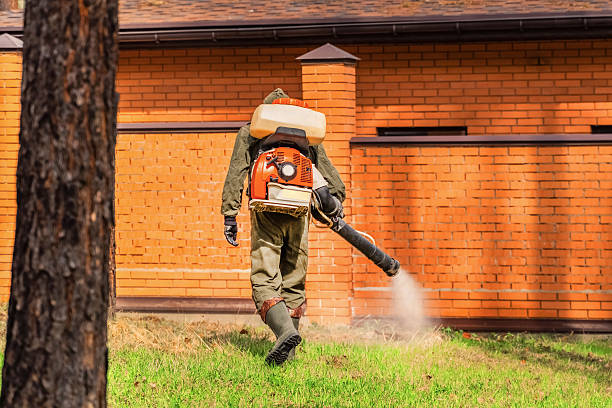 Trusted Ant Control service in Brigantine, NJ - Nex Pest Control